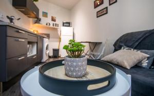 Appartements Studio SO rez de chaussee centre-ville : photos des chambres