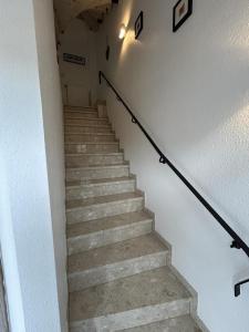 Kiebitznest