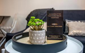 Appartements Studio SO rez de chaussee centre-ville : Studio