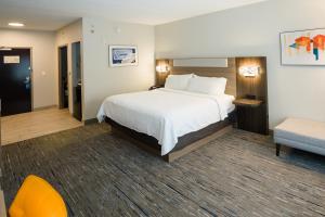 Standard King Room with Extra Space room in Holiday Inn Express Hotel & Suites Kodak East-Sevierville an IHG Hotel