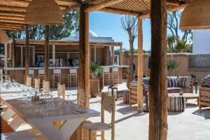 La Mouette et les Dromadaires - 西迪考乌奇