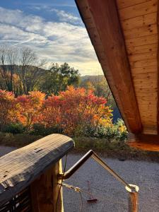 Eifelurlaub Luchs Wohnung mit Terrasse