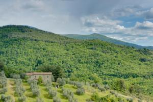 Agriturismo Bindozzino