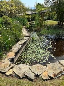 Blossom Cottage, Elgin Grabouw