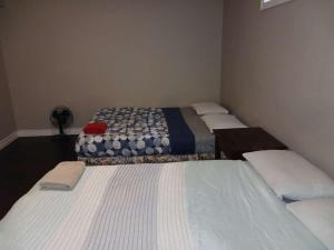 Central Kitchener Downtown in Budget- Near to College, Bus, Restaurant, Airport