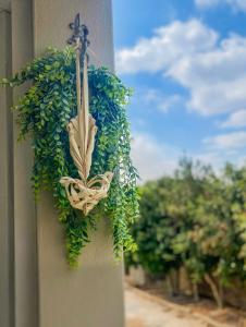 Cinsaut Accommodation