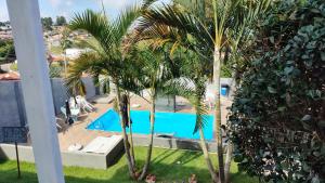 RECANTO K9 - SERRA NEGRA SP. No verão e no inverno