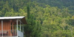 Econative Baru
