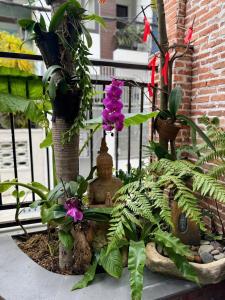 CHAMECO ART Boutique Home Danang