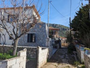 kipaki-trachila Mani