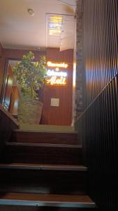 Estancias ALELI ,entresal.aerpto,terml traspt,CC.unico,baseMFS