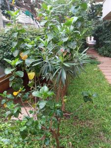 Amazistay offers a smart apartment with private hot jacuzzi