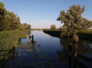 Landhaus im Grünen - Carpe Diem