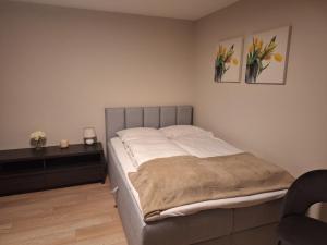 Apartamenty "Kotlina"