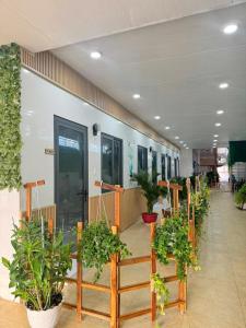 Homestay Dương Đông Town