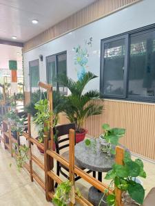 Homestay Dương Đông Town