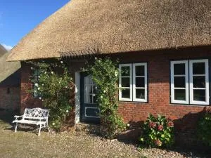 Emes Stuuv - Oevenum