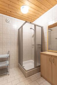 Apartment Al Vietta-2 by Interhome