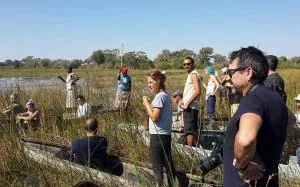 Zazu Epic Safari - Mashendus