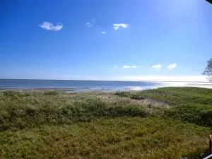 Dünennest - Südstrand