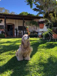 Cabaña Mi Bello Jardín, Privado, Zona Urbana