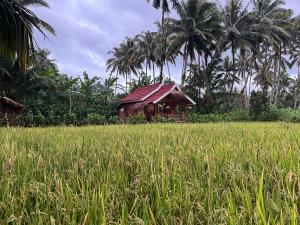 Syaqila Homestay Lombok