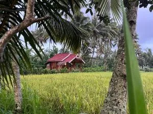 Syaqila Homestay Lombok - Sangyang