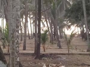Katadi beach homestay