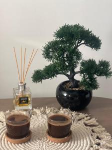 Apartman Mitrovic- Vila Zlatiborski Andjeo