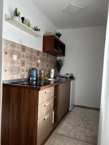 Apartman Mitrovic- Vila Zlatiborski Andjeo