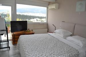 Pythagoras Acropolis