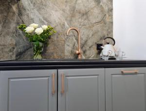 Biały Kruk Apartamenty vis-a-vis Jasnej Góry 2b