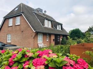 Deichblick in Nieblum