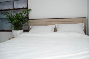 The Serenity Space