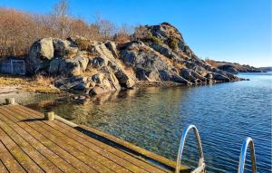 Nice Home In Nösund With House Sea View