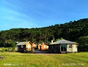 Encanto das Araucárias - Oswaldo Kroeff