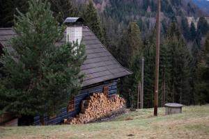 Klid na samotě u lesa