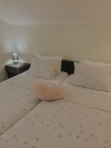 Apartmani Radovanović - Zlatište