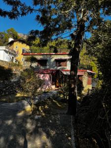 1111 Villa - The Human Happiness project - MUKTESHWAR - ------------- ---------------- --------------------- ------------------------------ --------------------------------------------- ------------Jacuzzi - Private Property with Garden and Orchard