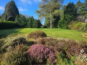 Village Location Bungalow with Large Garden - Findern