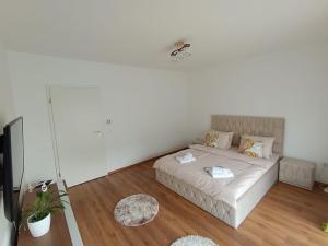 La Maia Acasă - Loftul urban