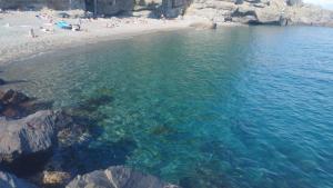 Albisola House Marcicci