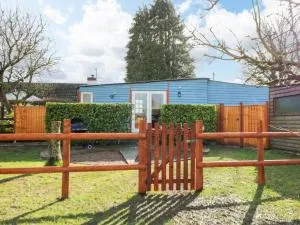 Shed Your Blues - Upper Welson