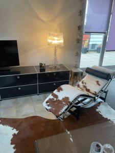 Appartements Du cote des vignes en Alsace : photos des chambres