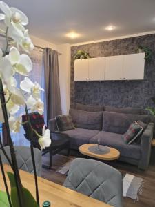 Apartament Pod Orzechem