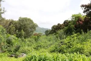 SeverinaTours - Picos