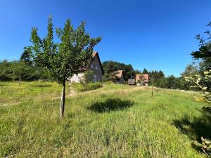 Bispinger-Heidezauber-Haus-Weissdorn