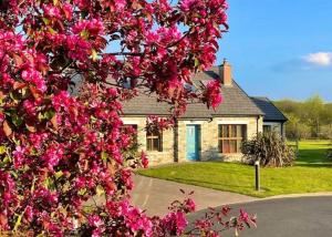 Donegal Boardwalk Resort