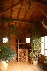 Maisons de vacances Chalet de la Fressine : photos des chambres