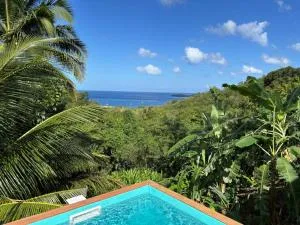 Le jardin d'Agatine Bouguainvillier - Pigeon